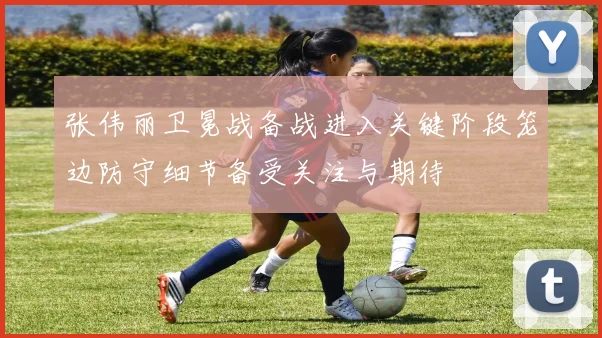 张伟丽卫冕战备战进入关键阶段笼边防守细节备受关注与期待