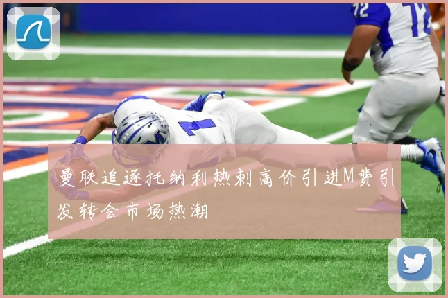 曼联追逐托纳利热刺高价引进M费引发转会市场热潮
