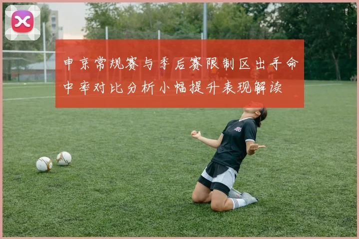 申京常规赛与季后赛限制区出手命中率对比分析小幅提升表现解读